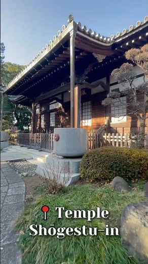 Des lieux originaux à voir au Japon 🇯🇵 #japon #voyage #nature