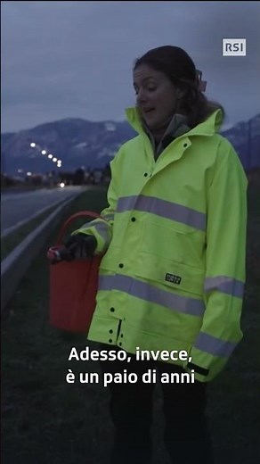 Switzerland: 15 out of 19 amphibian species at risk of extinction | Il Giardino di Albert | RSI