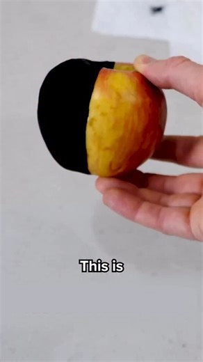 Hafu Go | YouTuber on Instagram