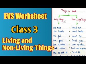 EVS Worksheet for class 3 / Topic - Living and Non - Living Things