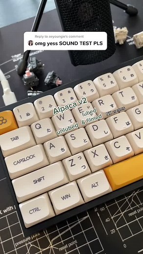 ASMR Keyboard Sound Test with Alpaca V2 Switches