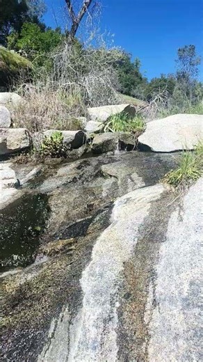 Absorb the Life You have | #nature #natsarim #creator