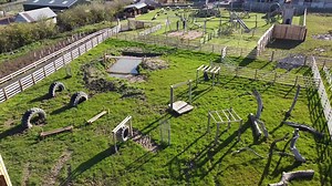 8.8K views · 275 reactions | Finally the time has come to move the...