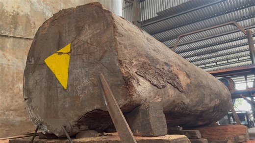 Turning Logs into Raw Wood