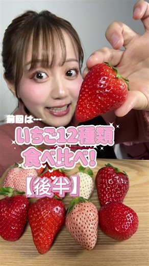 イチゴ12種類(後半)🍓✨️ 購入先：サンプル百貨店で検索！🔍 #サンプル百貨店 #いちご #asmr