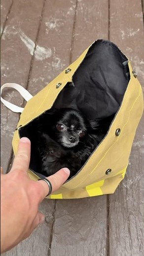 MCDONALDS BACKPACK PUDDIN 🎒😱