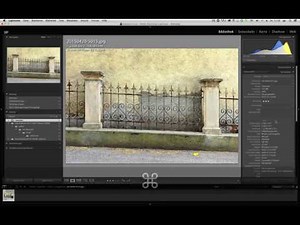 Fotos Drucken in der richtigen Auflösung - DPI, PPI