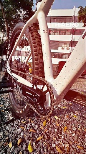29er hardtail mountain bike M17.#icancycling #mtb