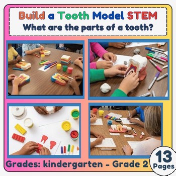 Build a Tooth Model STEM-What Are the Parts of a Tooth | Dental Health For K-2nd
