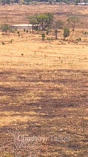 122K views · 541 reactions | Tiudzei history nezve tank iri... | Chinhoyi Talker | Facebook