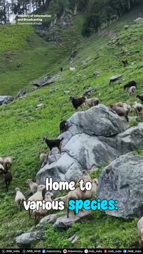 17 reactions | Great Himalayan National Park: A Majestic beauty nestled in the western Himalayas️ A #UNESCO World Heritage Site with alpine meadows & riverine forests ️Discover the pristine allure & ecological importance of the park conservation area! #tourismgoi | #incredibleindia | All India Radio News | Facebook