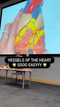 ✅ LAD (Left Anterior Descending) = Anterior Interventricular Artery!
