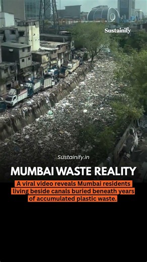 Mumbai’s canals are buried under years of plastic waste. #cleanindia #news #sustainability #travel