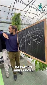The mechanics behind pollination ⚙️🐝