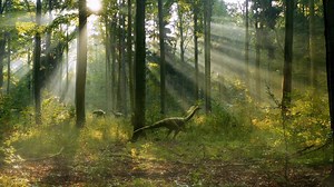 Ancient Earth: Humans | BBC Documentaries