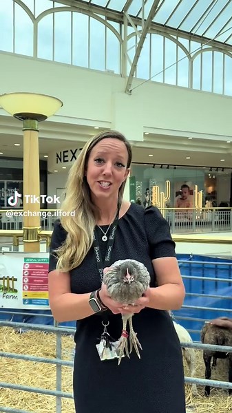 Exchange Ilford on TikTok