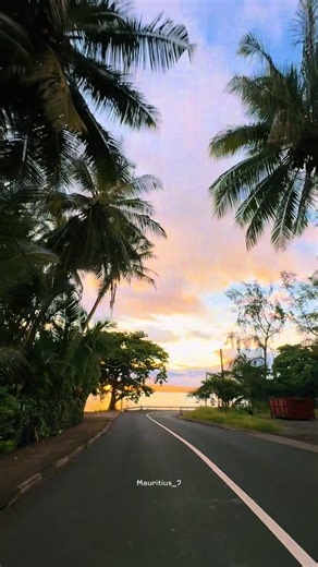 Scenic Route #mauritius #fyp #mauritius🇲🇺 #sunset #road @Peerally zubeir