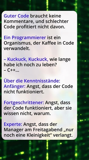 Kurze Witze aus der Welt der Programmierer #witzekanal #kurzwitze #witzig