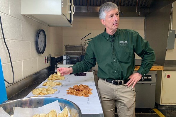 Researchers have spent decades breeding better potatoes for chips, and their work isn't done