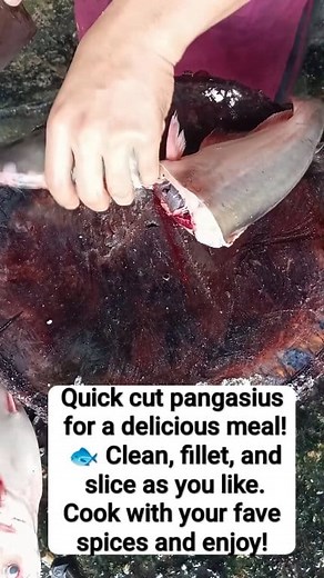 Quick cut pangasius for a delicious meal! 🐟 Clean, fillet, and slice as you like. Cook with your fave spices and enjoy! #Pangasius #QuickCookingTips | Elank Vino