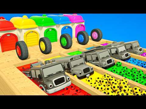 Aprende los colores con la ayuda de 5 coches - Tiburón Bebé Du Ru Canciones infantiles