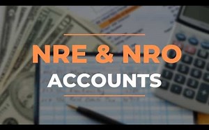 Managing Finances: Why are NRE and NRO accounts important for NRIs