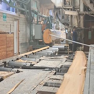 The World's Most Advanced Sawing and Logging Techn | Machine Blog 59V