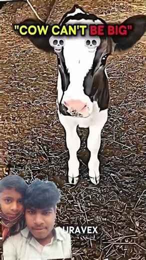 animals long #animals