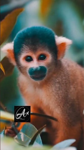 Beautiful Bolivia 🇧🇴📍🇧🇴