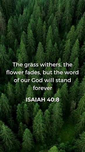 Isaiah 40:8: grass withers, the flower fades, but the word of our God will stand forever | GodVine