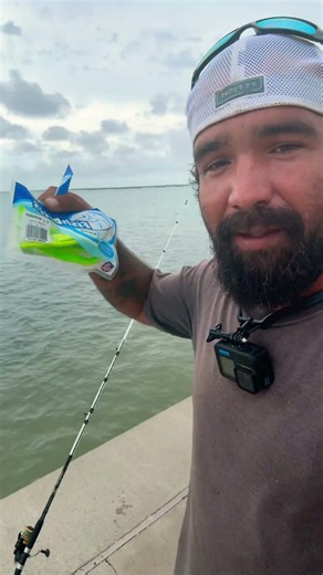 Fish bites do they work for you? #fishing