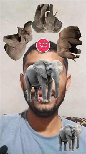 Elephant 🐘 puzzle 🧩 game 🎮🎯 #elephant #pramodpuzzle #fbreelsfypシ゚viralシ #trendingreel #puzzle #circle #viralreel #fb #hilights #foryouシ #videoviral Pramod Puzzle | Pramod Puzzle