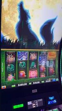 Is there ANYTHING Better than This?!? #gambling #casino #money #comedy #slots