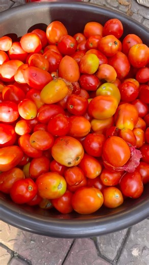 Cooked 3000 Plates of Jollof Rice with 2 Cows. Check Description for details #shorts #shortsfeed