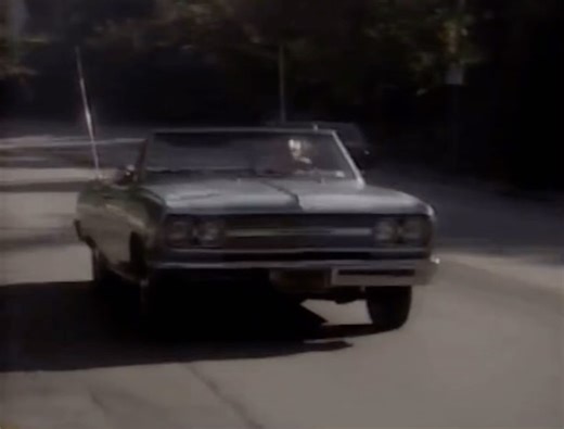 Vintage Los Angeles on Instagram: "Randy Newman takes us on a Time Machine back to 1986 to explore his favorite spots in Pacific Palisades: Morts Deli (closed years ago) and the Self-Realization Fellowship Lake Shrine which miraculously survived! Randy grew up in Pacific Palisades / not sure if he still lives there. I hope doing he’s OK. #ILoveLA ❤️ @randynewmanofficial"