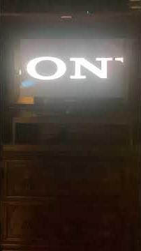 Peter Rabbit (2018) - FXX Intro