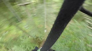 Free stock video - Tree top obstacle course