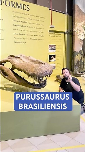 Purussaurus: The Largest Alligator in History #curiosities #biology