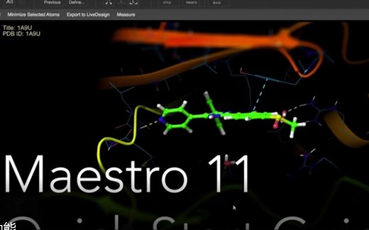 Schrödinger-Maestro 基本操作和功能（二）
