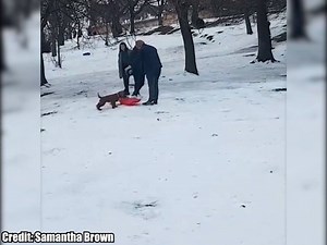 This little pup in the snow pretty much sums up last week. Starts off exciting, ends with a runaway sled ... | Daily Record
