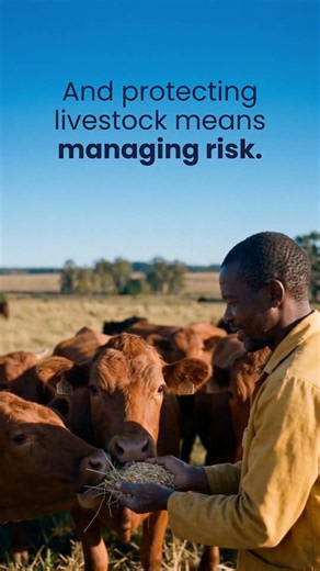 Modern farming comes with risks at every stage.
