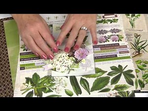 Kaisercraft - Botanica Collection