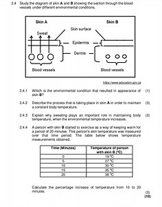 2.4 Study the diagram of skin A and B showing the section throu... | Filo
