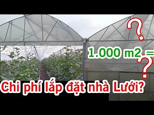 A66. How much does a 1000m2 greenhouse cost? Cost of installing a high-tech Israeli greenhouse