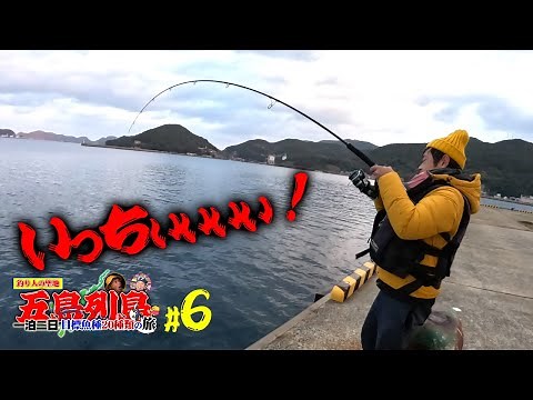堤防アジ泳がせ釣りでまさかの魚が‼