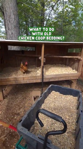 What to Do With Old Chicken Bedding