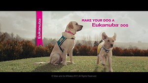 Feed the Extraordinary in your Puppy. Make your dog a EUKANUBA Dog! Available on ePETstore - SHOP NOW: www.epetstore.co.za/dog-dog-dry-food?bfilter=m0:36 | epetstore.co.za