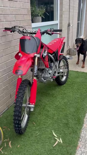 Dirt Bike Sounds that Excite: Rev Limiter Moments