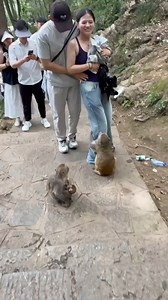 241K views · 10K reactions | ✌️ #photography The History of...