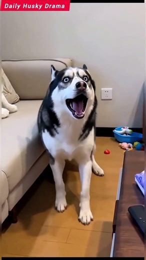 He Watched His Own Face Being Made… and Freaked Out 😂🐺 #Shorts #slowclap #doyoueven #nottalking